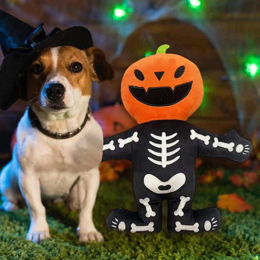 Caveira Cabeça de Abóbora