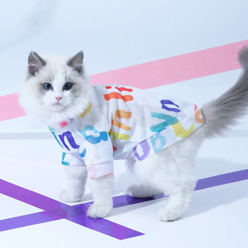 Colete de Verão Gato