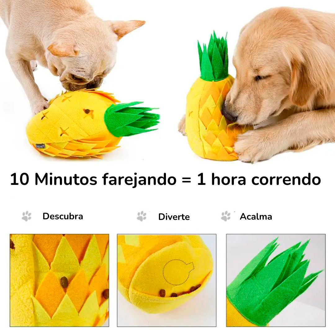 Abacaxi Porta Petiscos