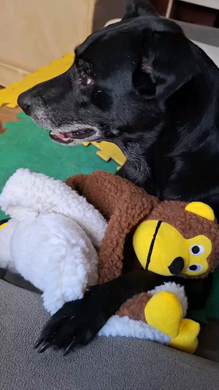 Pelúcia Macaquinho com Apito 🇧🇷