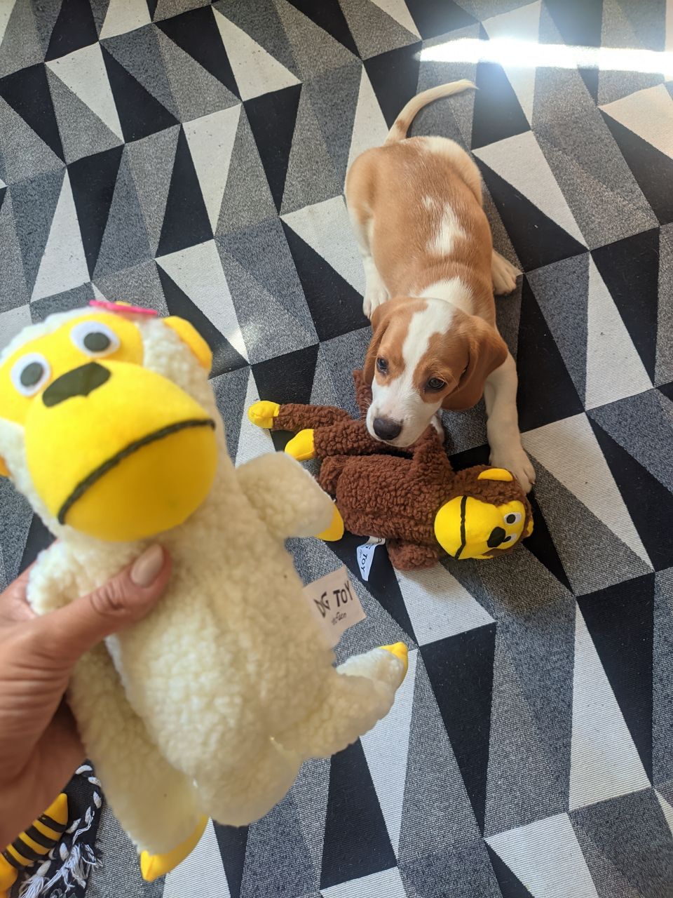 Pelúcia Macaquinho com Apito 🇧🇷