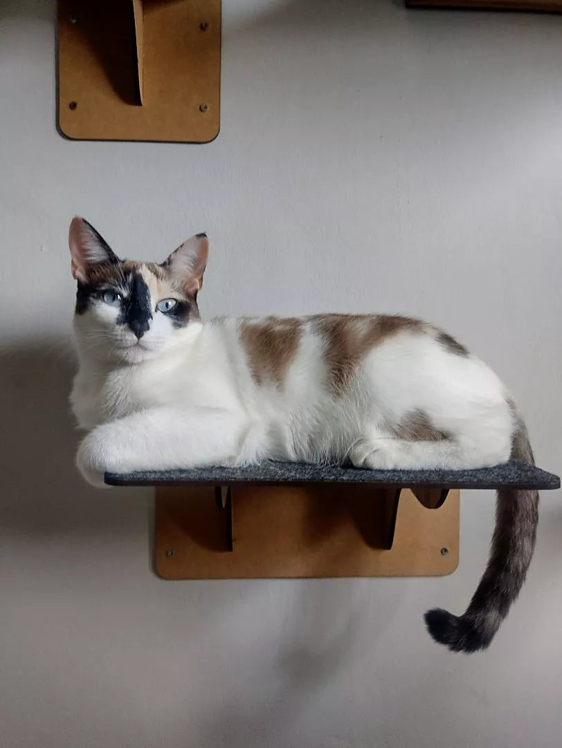 kit Playground para Gatos 🇧🇷