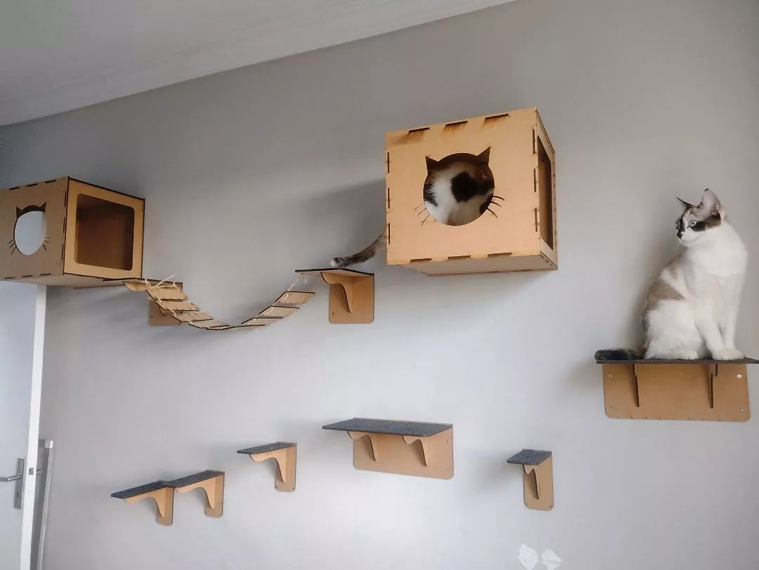 kit Playground para Gatos 🇧🇷