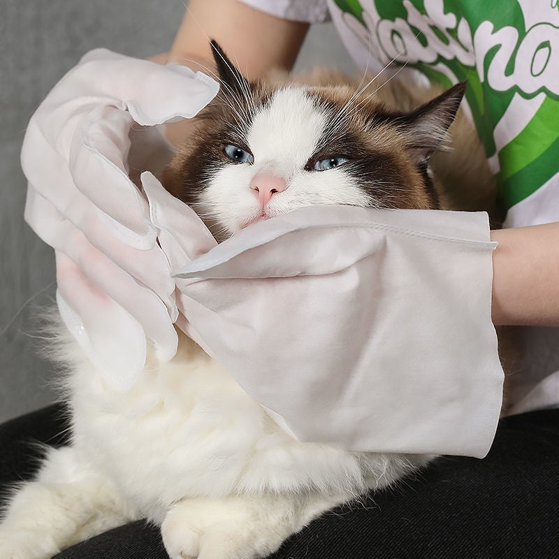 10 Luvas Umedecida para Banho a Seco 🇧🇷