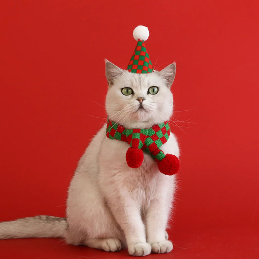 Cachecol e Chapéu Natalino