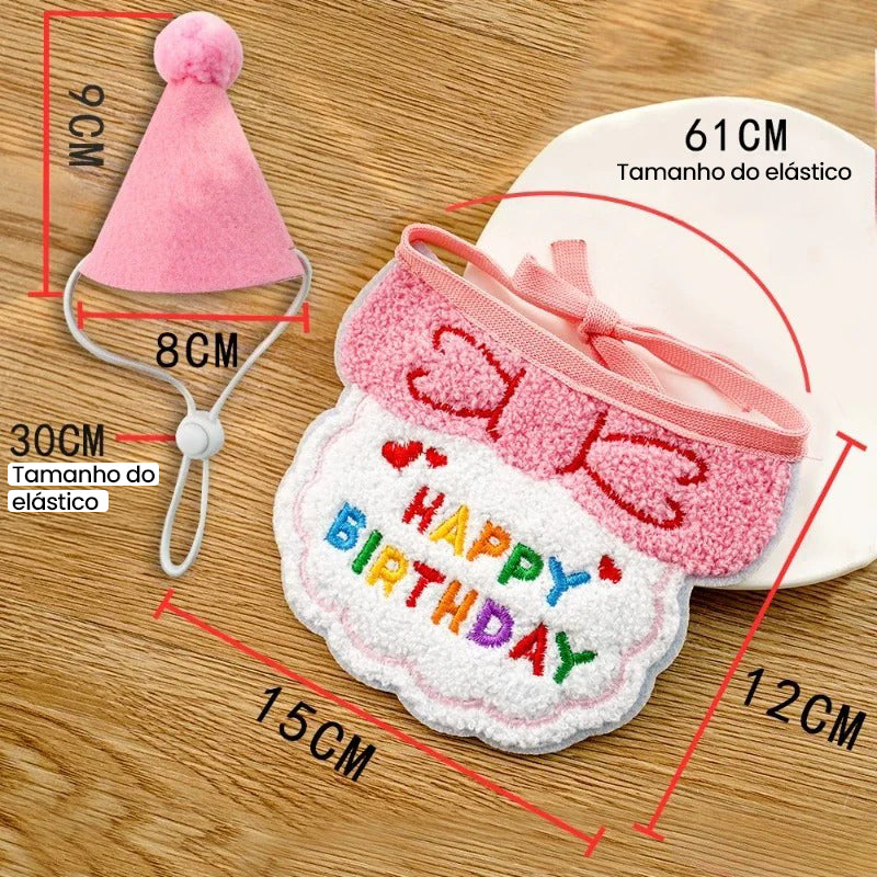 Conjunto De Festa Pet