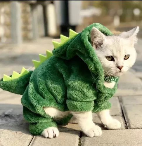 Fantasia de Jacaré Pet