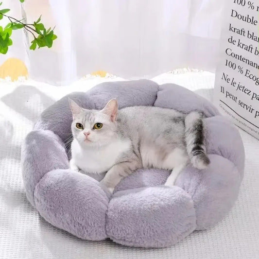 Cama Pétala para Gato