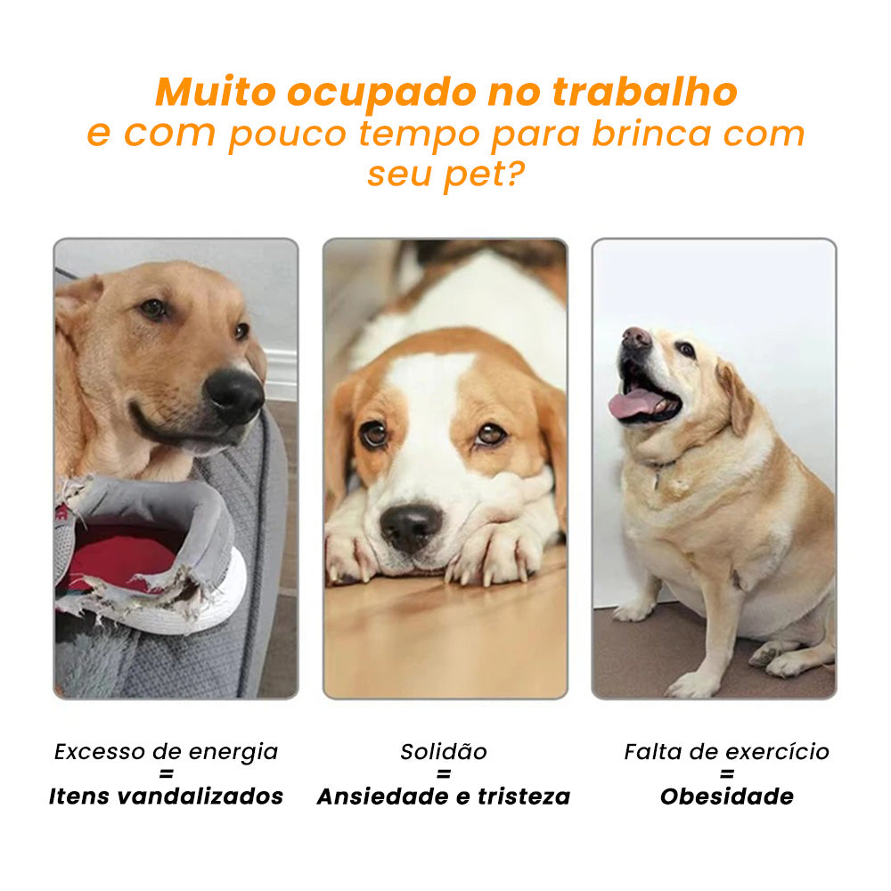 Lançador de Bolas Automático