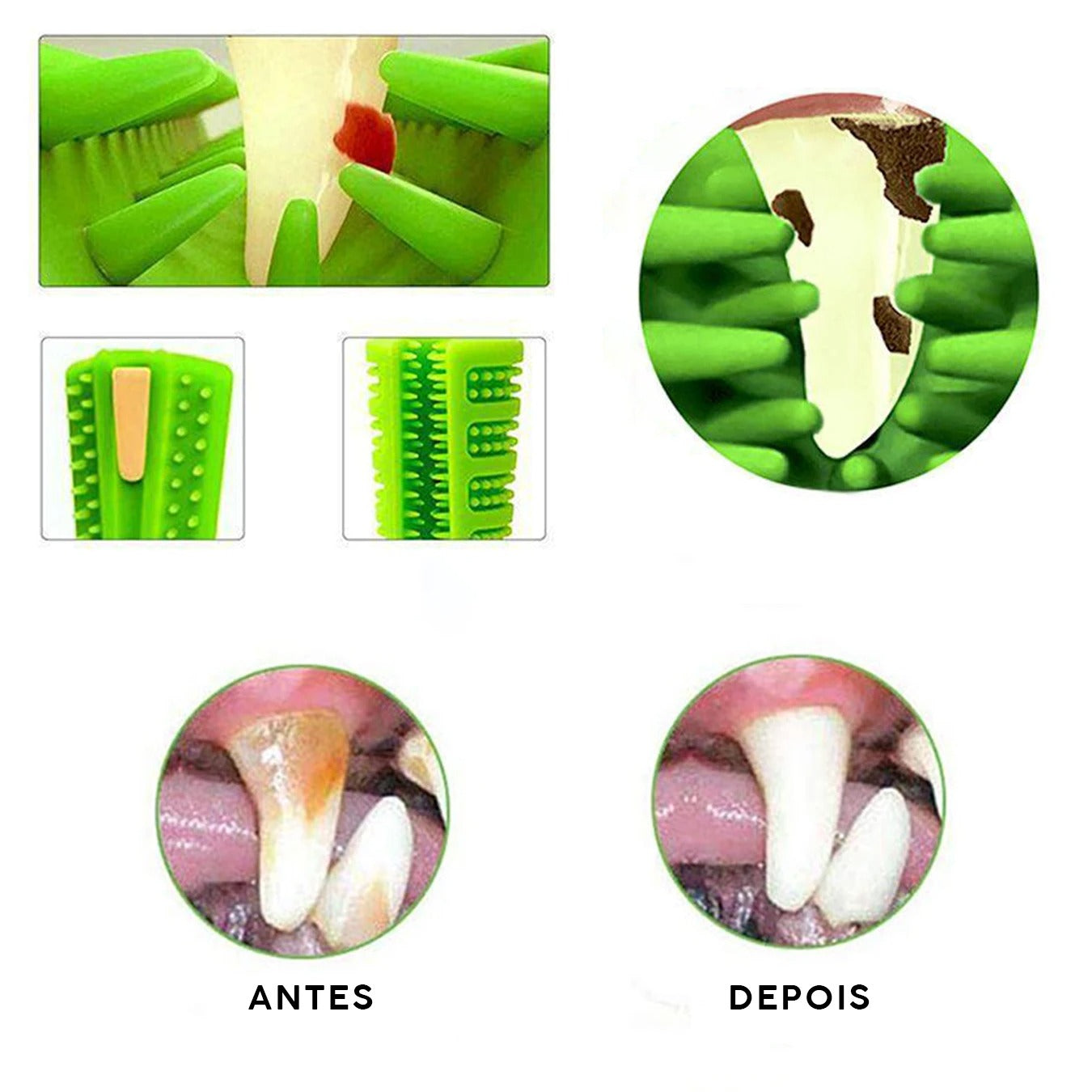 Mordedor Escova de Dentes para Cão 🇧🇷