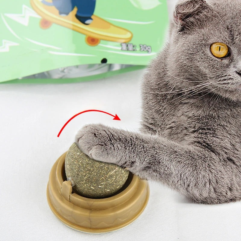 Bola de Catnip adesiva