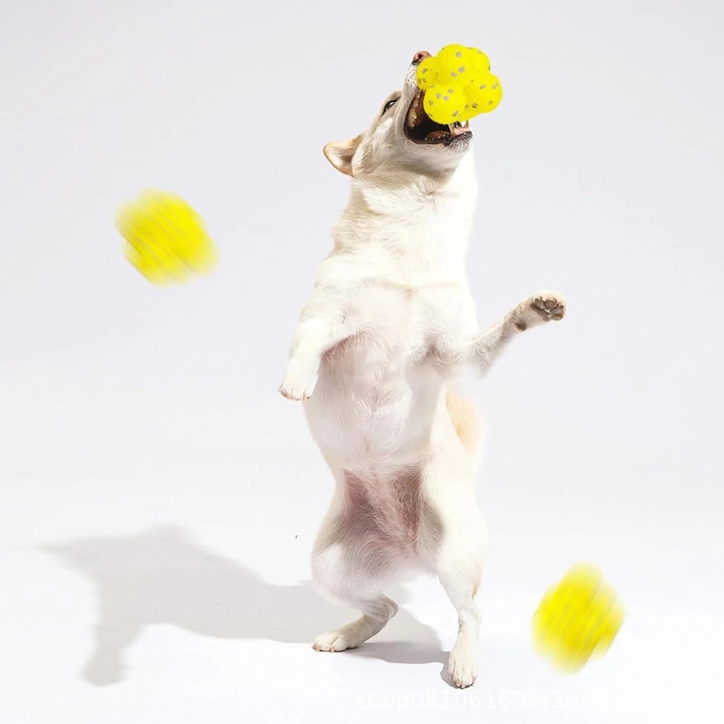 Bola Anti-Stress Pet Coleção Strong