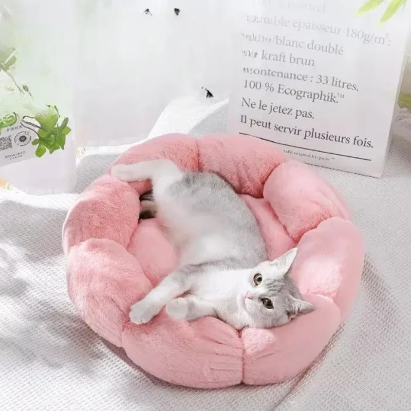 Cama Pétala para Gato