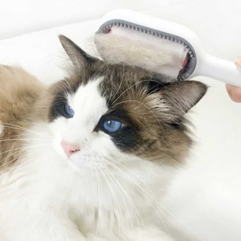 Escova de Limpeza para Gatos