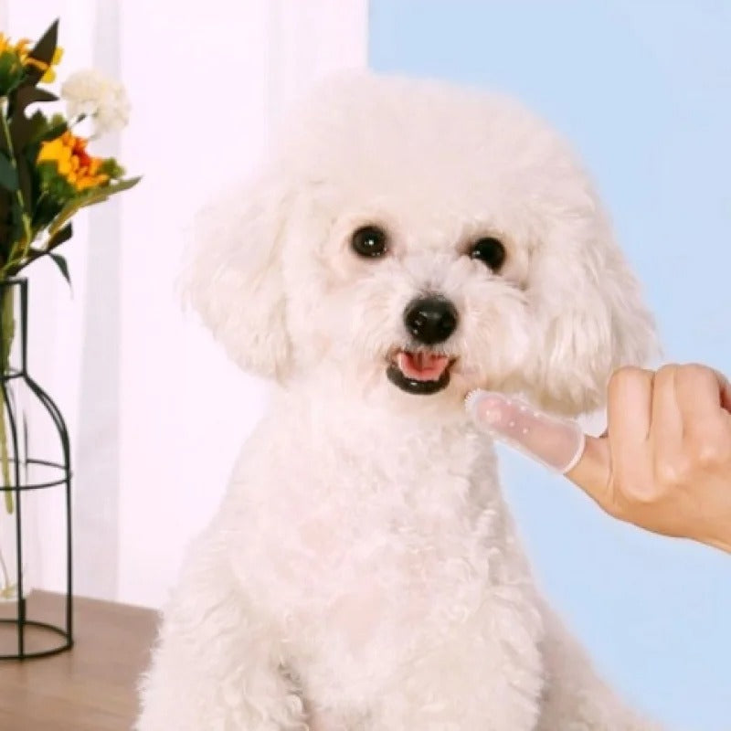 Escova Dental Pet Silicone 🇧🇷