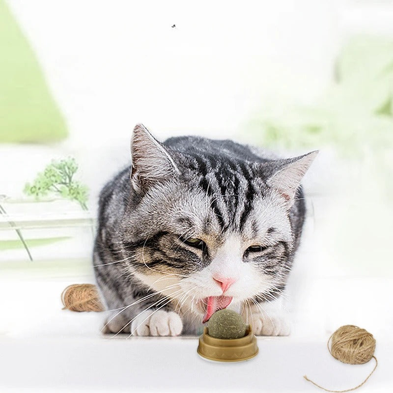 Bola de Catnip adesiva