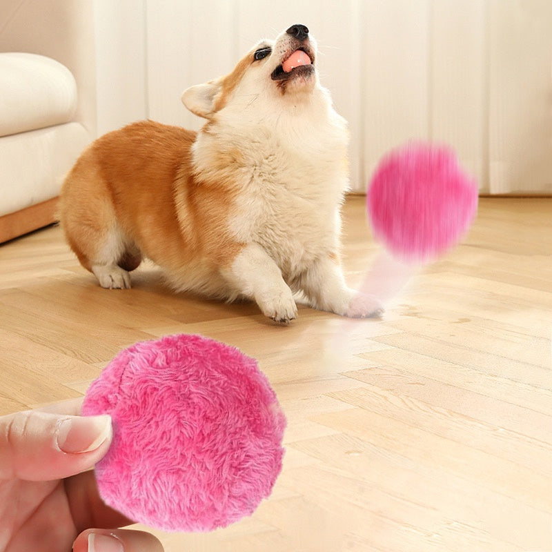 Bola Robótica 4 em 1