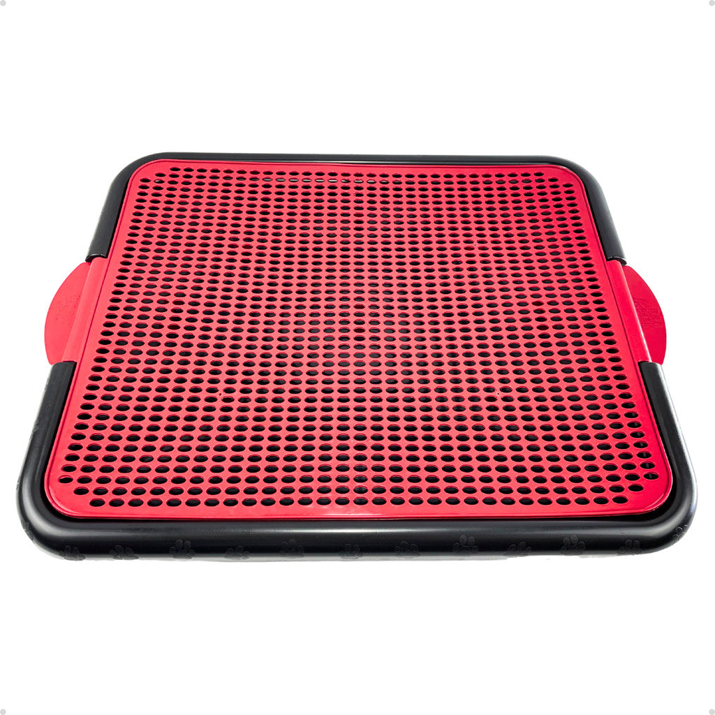 Sanitário Higiênico Pet 🇧🇷