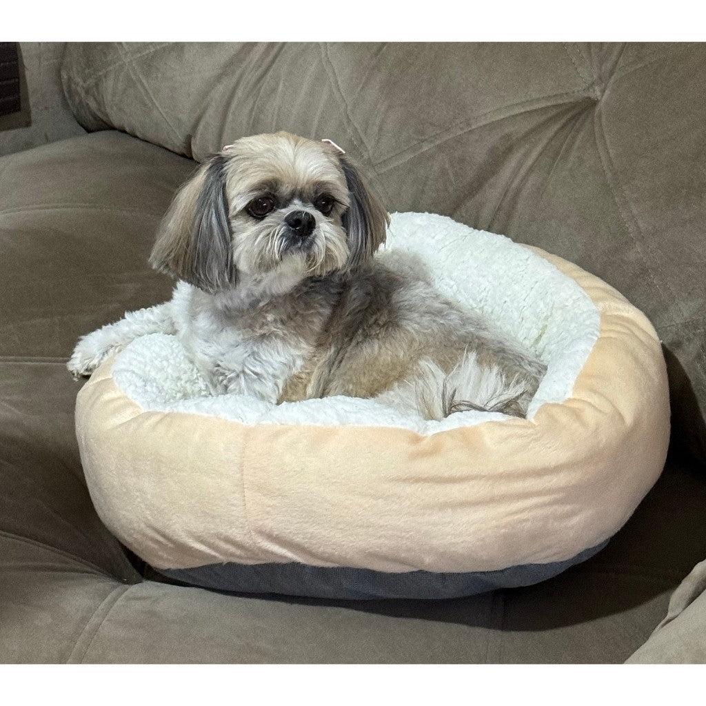 Caminha Sherpa para pet 🇧🇷