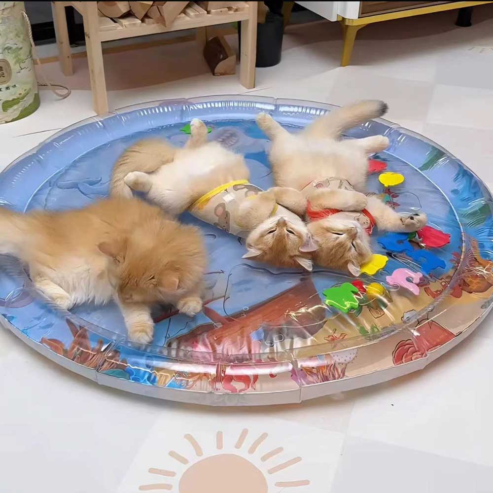 Cama de Água Sensorial para Gatos