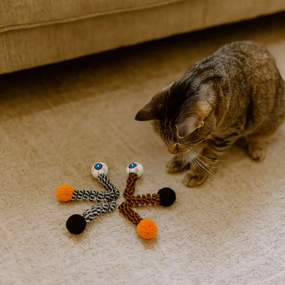 Olho Maluco Cat Halloween