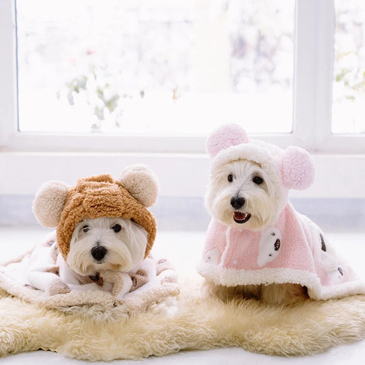 Capinha de Inverno