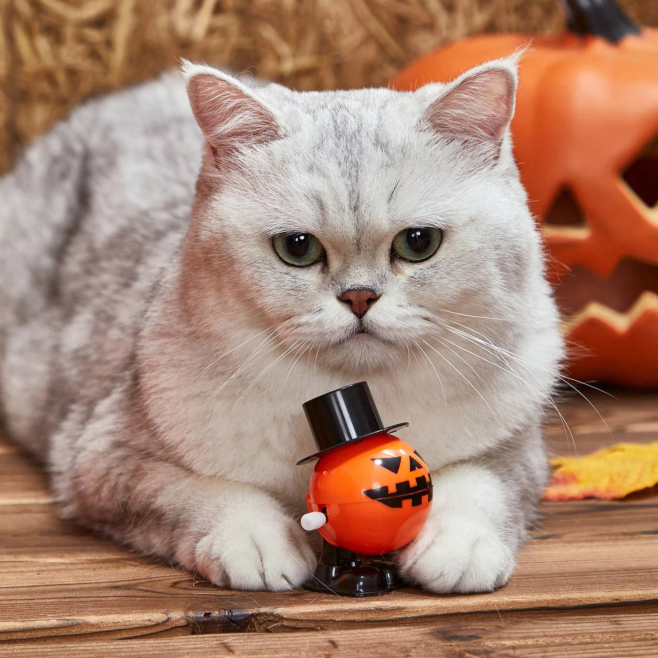 Brinquedo Mecânico de Abóbora