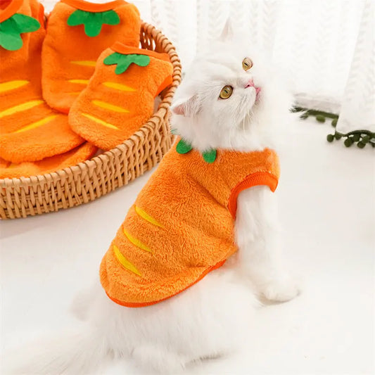 Look Cenourinha Cat