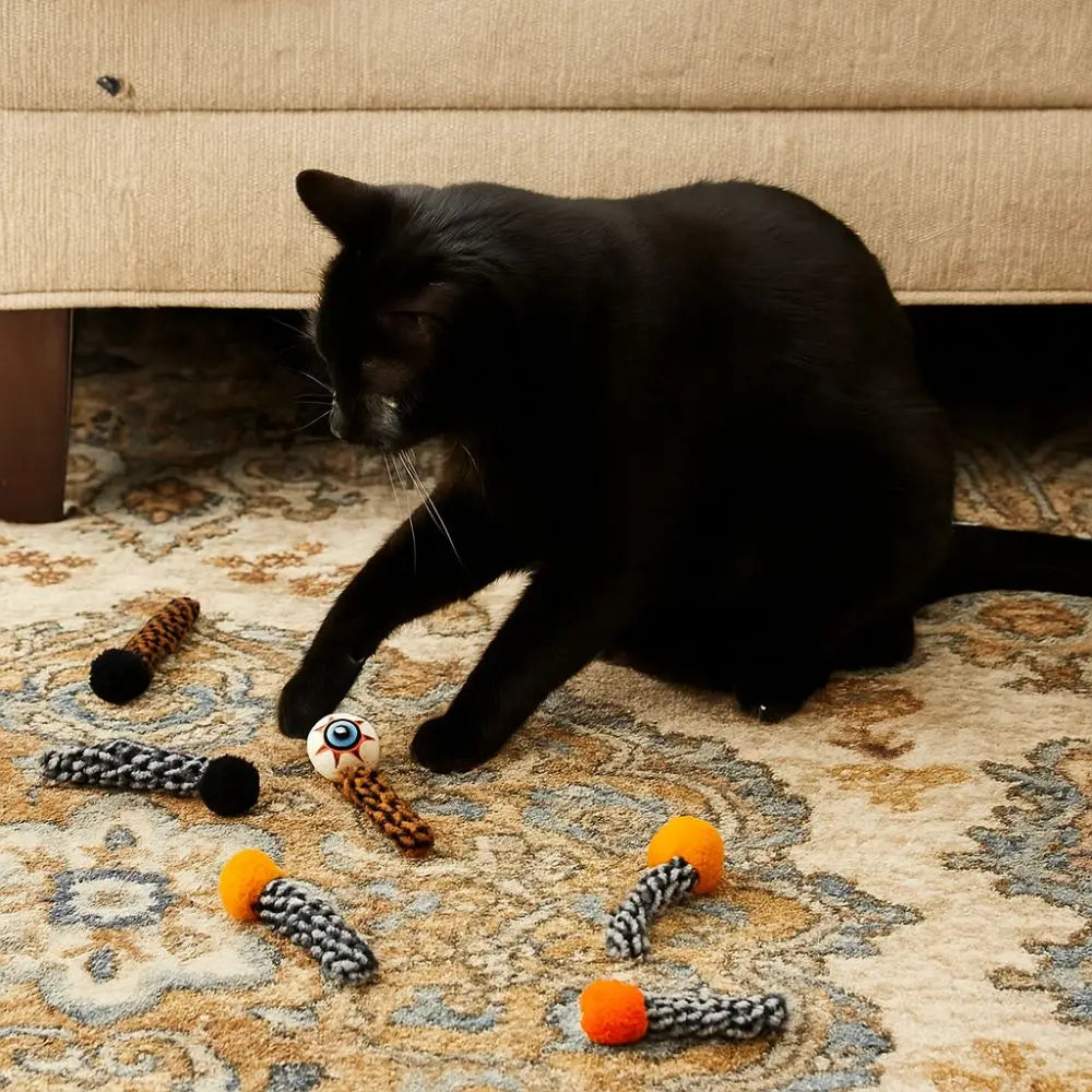 Olho Maluco Cat Halloween