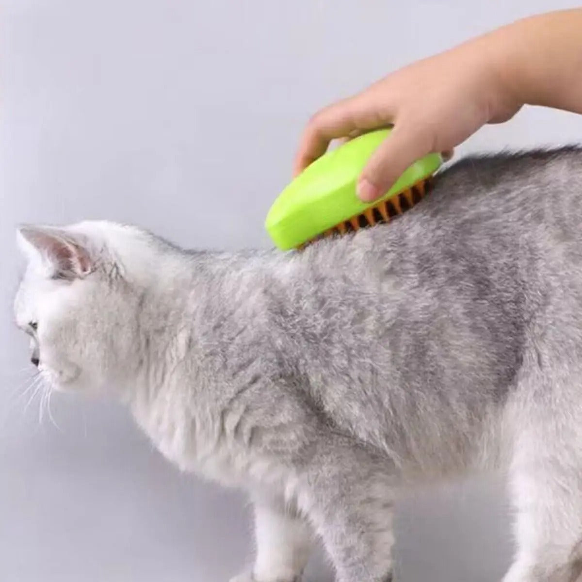 Escova para Cães e Gatos À Vapor 🇧🇷