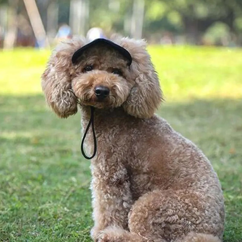 Boné para cachorro Tailup