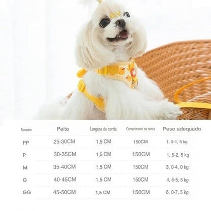 Conjunto Peitoral Patinho